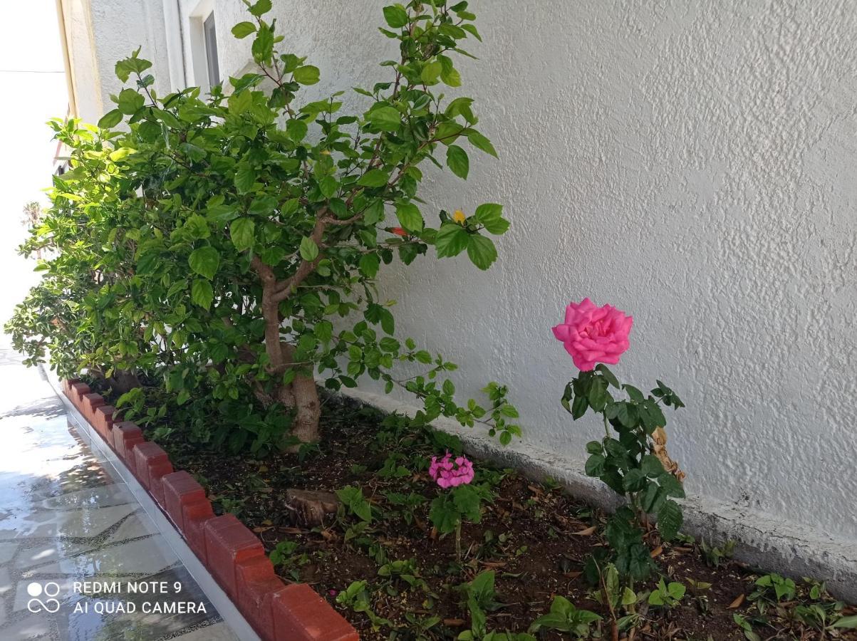 Iasonas Apartments ماستيخاري المظهر الخارجي الصورة