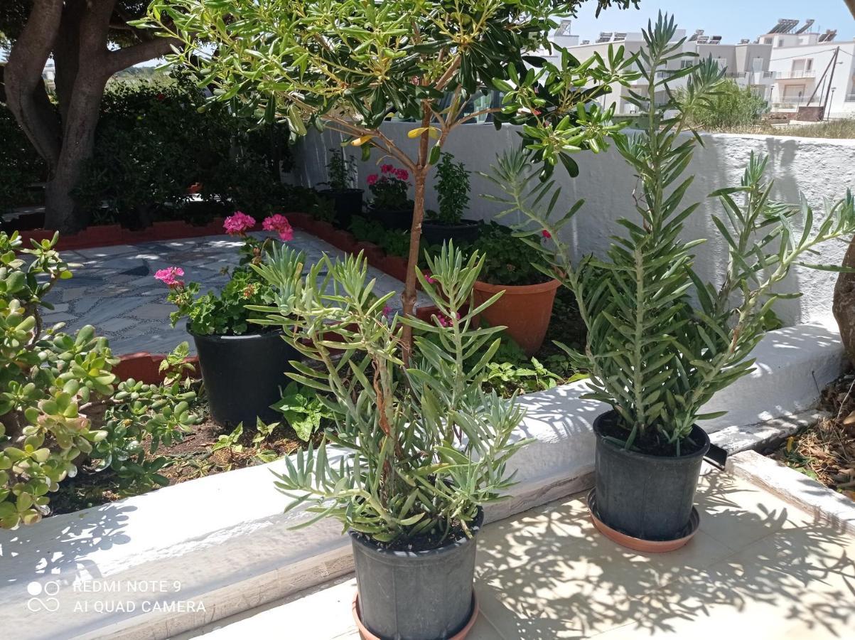 Iasonas Apartments ماستيخاري المظهر الخارجي الصورة